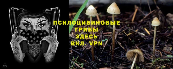 синтетический гашиш Кинешма