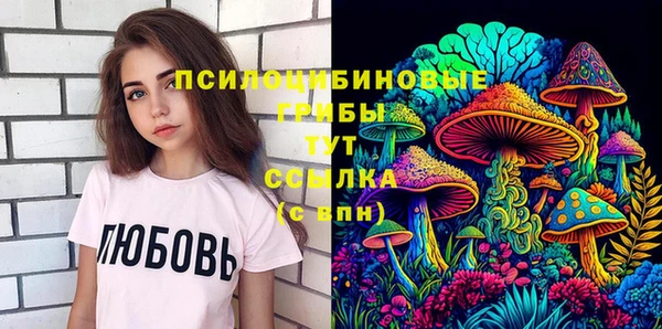 PSILOCYBIN Карпинск